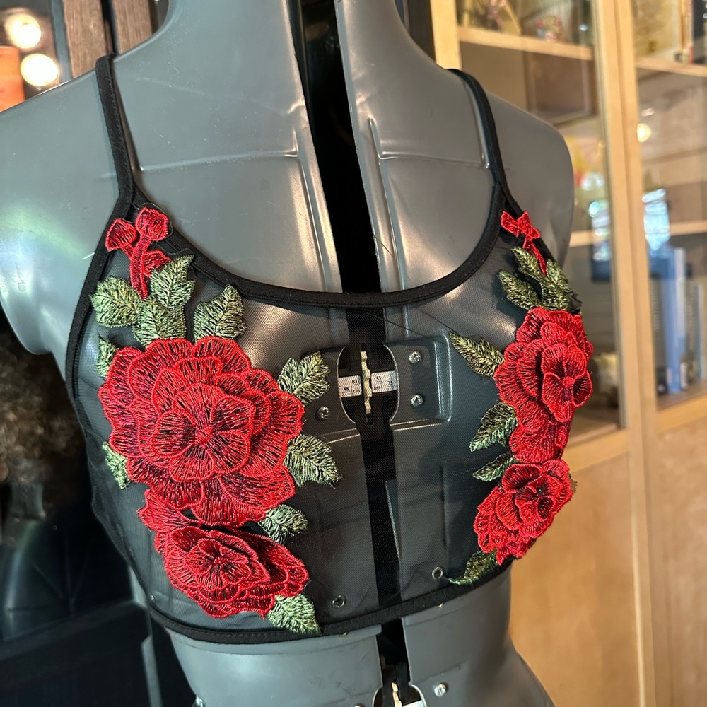 Dollskill Sheer Rose Tie Top